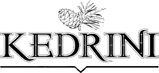 KEDRINI logo