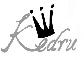 KEDRU logo