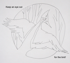 KEEP AN EYE OUT FOR THE BIRD! logo