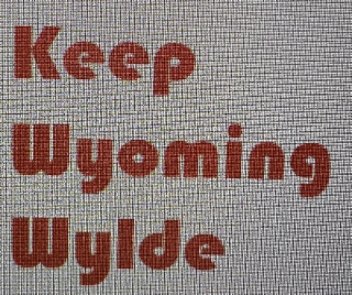 KEEP WYOMING WYLDE logo