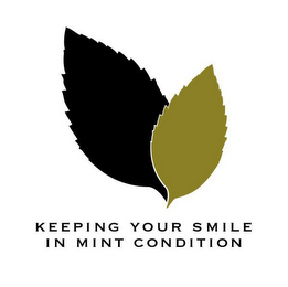 KEEPING YOUR SMILE IN MINT CONDITION logo