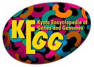 KEGG KYOTO ENCYCLOPEDIA OF GENES AND GENOMES logo