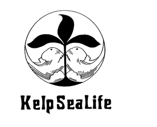 KELP SEA LIFE logo