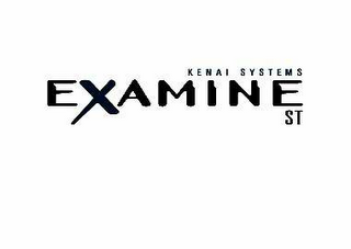 KENAI SYSTEMS EXAMINE ST logo