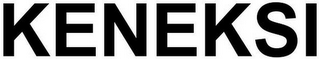 KENEKSI logo