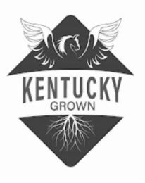 KENTUCKY GROWN logo