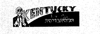 KENTUCKY VINE RIPE TOMATOES logo