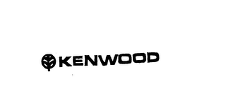 KENWOOD logo