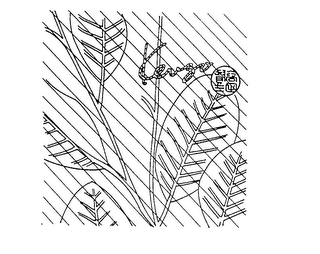 KENZO logo