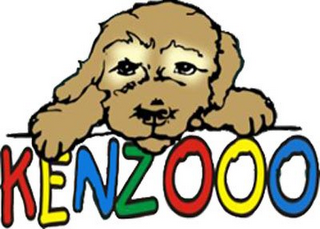 KENZOOO logo
