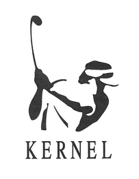 KERNEL logo