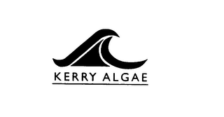 KERRY ALGAE
