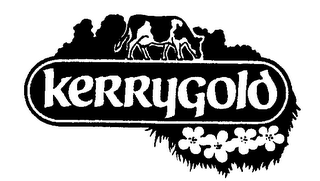 KERRYGOLD logo