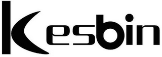 KESBIN logo