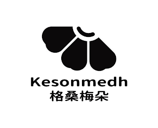 KESONMEDH logo