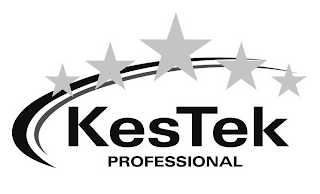 KESTEK PROFESSIONAL logo