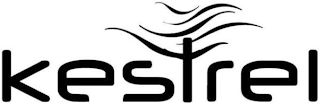 KESTREL logo