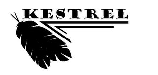 KESTREL logo