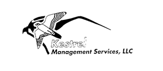 KESTREL MANAGEMENT SERVICES, LLC logo