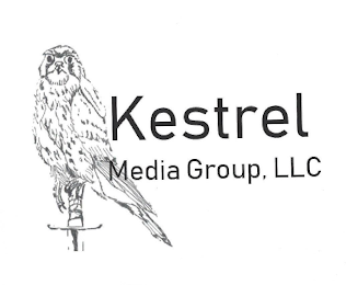 KESTREL MEDIA GROUP, LLC logo