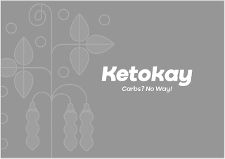 KETOKAY CARBS? NO WAY! logo