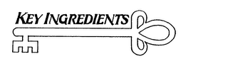 KEY INGREDIENTS logo