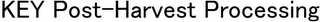 KEY POST-HARVEST PROCESSING logo