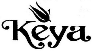 KEYA logo