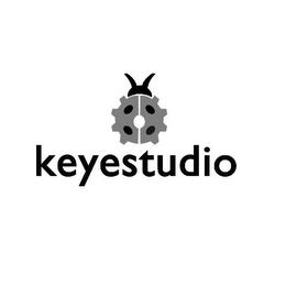 KEYESTUDIO logo