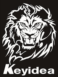 KEYIDEA logo