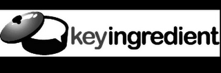 KEYINGREDIENT logo