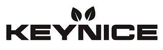 KEYNICE logo
