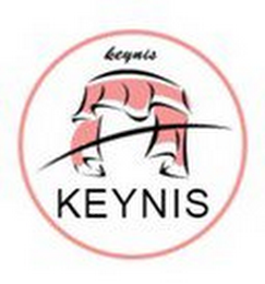 KEYNIS logo