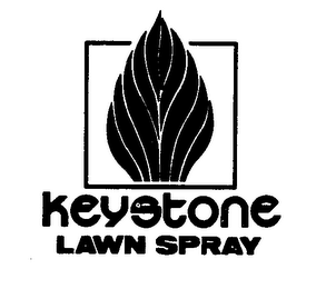 KEYSTONE LAWN SPRAY logo