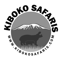 KIBOKO SAFARIS WWW.KIBOKOSAFARIS.COM logo