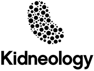 KIDNEOLOGY logo