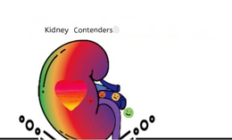 KIDNEY CONTENDERS logo
