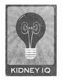 KIDNEY IQ logo