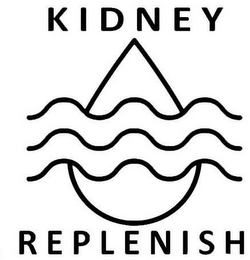 KIDNEY REPLENISH logo