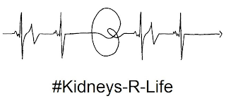 #KIDNEYS-R-LIFE logo