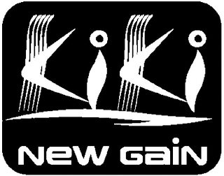 KIKI NEW GAIN logo