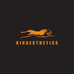 KINAESTHETICS logo
