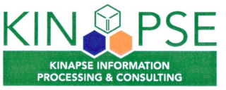 KINAPSE INFORMATION PROCESSING & CONSULTING logo