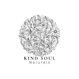 KIND SOUL NATURALS logo