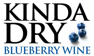 KINDA DRY BLUEBERRY WINE logo