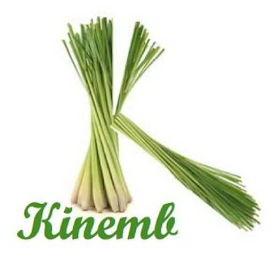 KINEMB logo