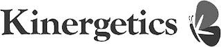 KINERGETICS logo
