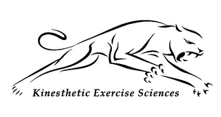 KINESTHETIC EXERCISE SCIENCES logo