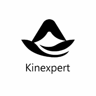 KINEXPERT