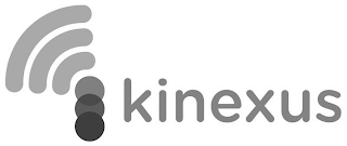 KINEXUS logo